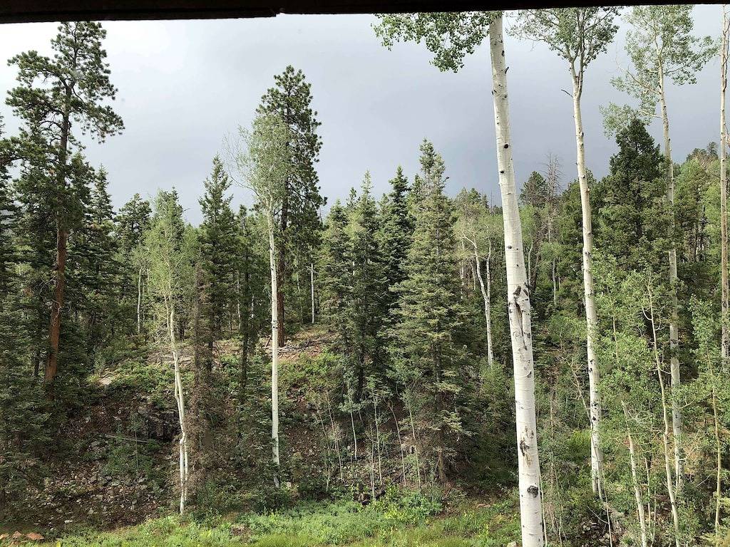 Ultra Green Modern Mountain Home in Purgatory