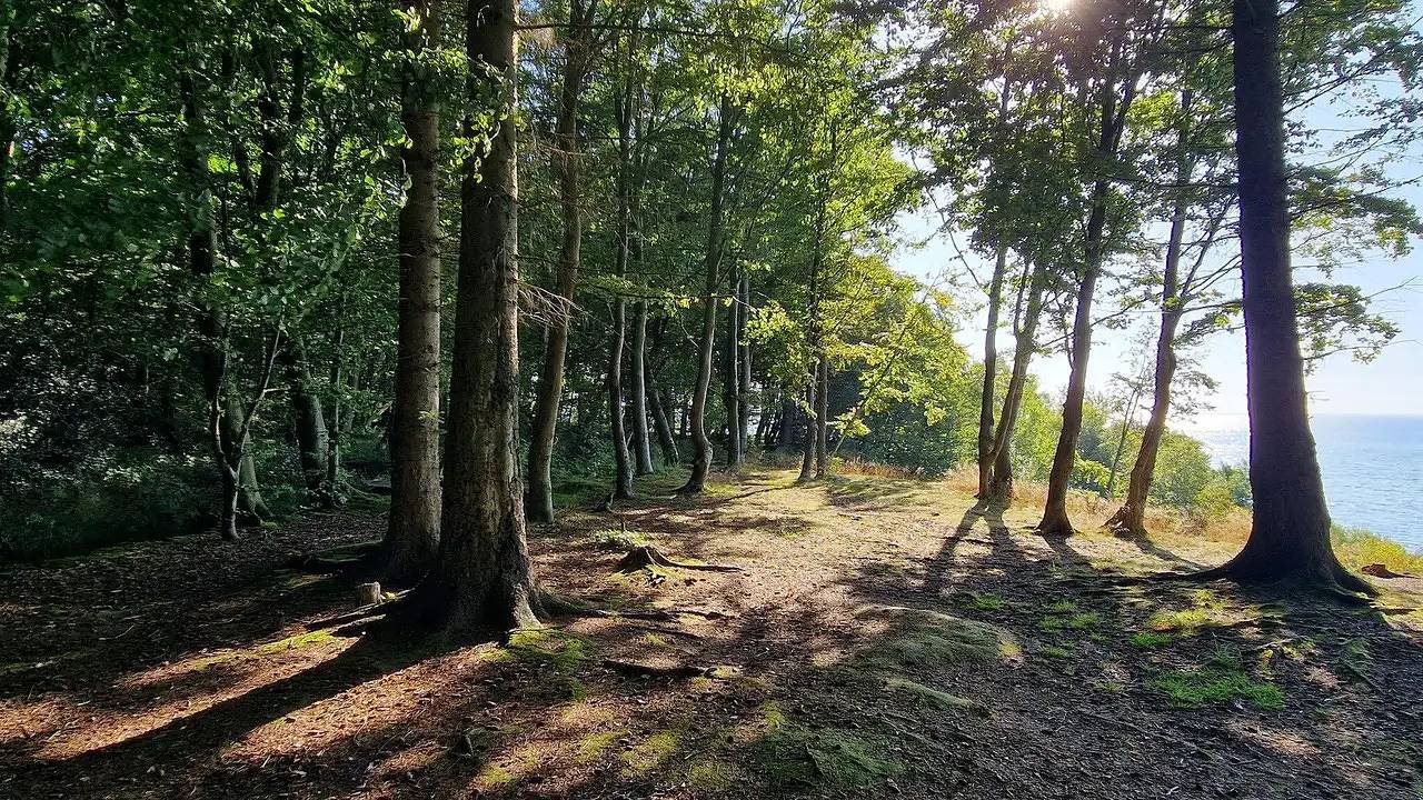 Ferienhaus für 8 Personen (88 m²) in Børkop in Mørkholt, Børkop 