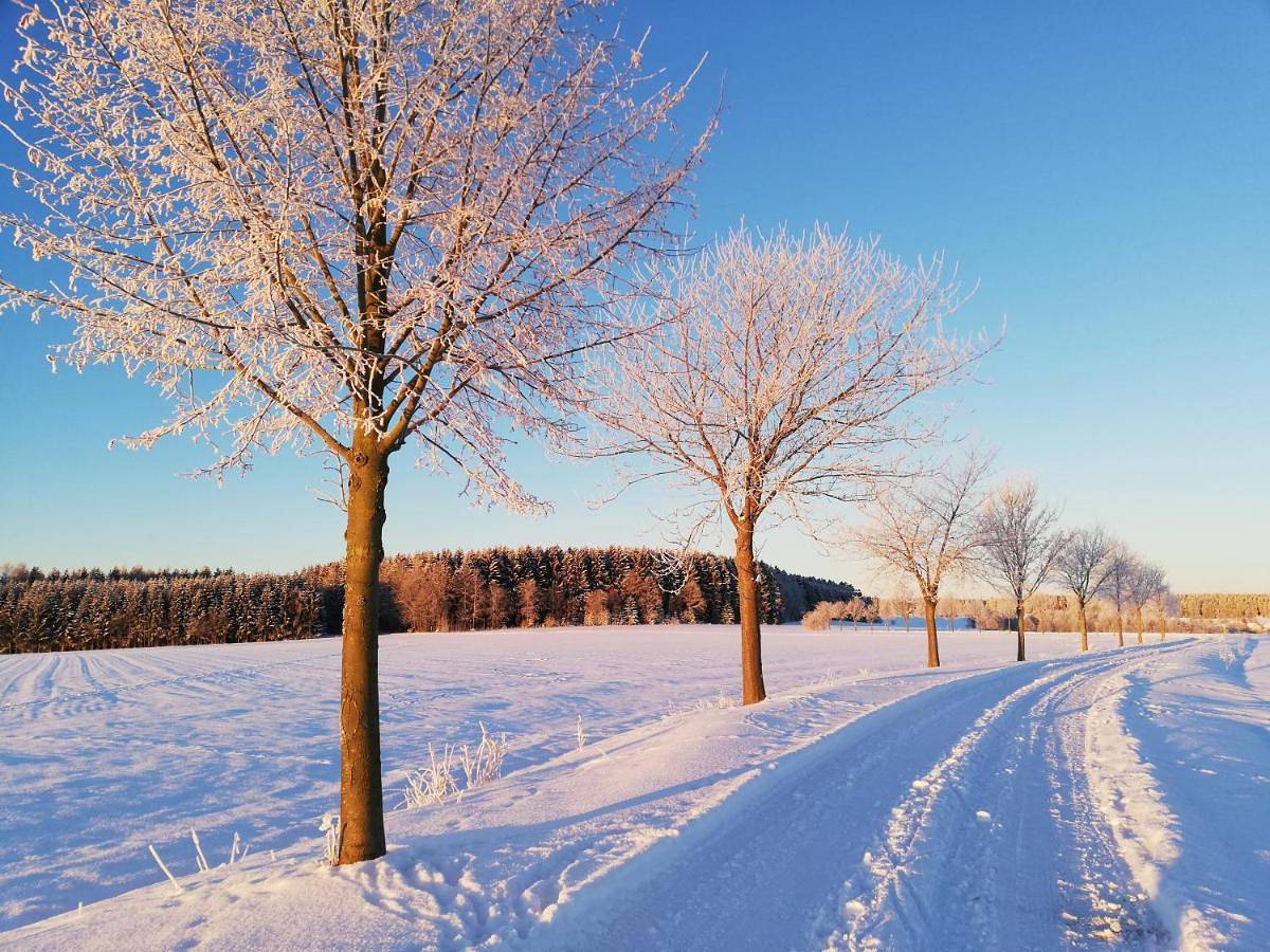 Ganze Wohnung, Ursula in Schneeberg, Erzgebirge