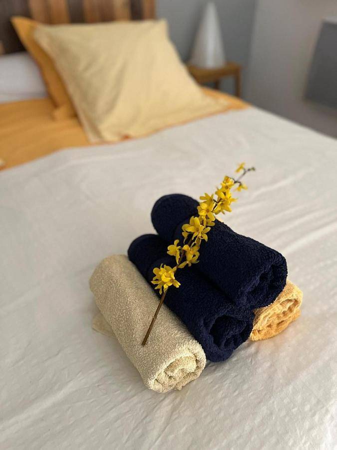 Gîte pour 3 personnes, avec piscine et jardin à Cunlhat - 4