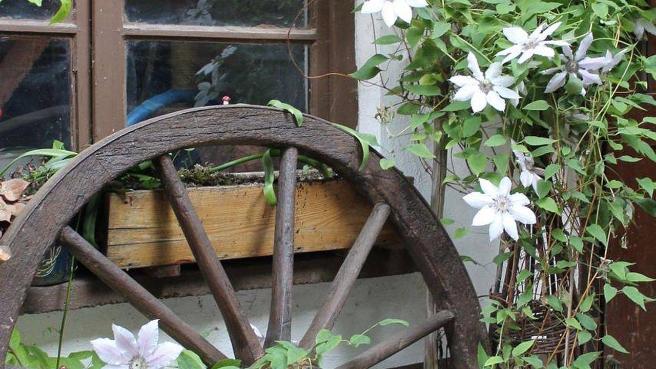 Ganze Ferienwohnung, Ferienwohnung für 3 Personen (53 m²) in Leinsweiler in Leinsweiler, Trifelsland