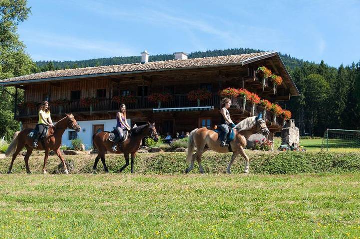 Chalet für 10 Personen, mit Garten und Terrasse im Bayerischer Wald - 3