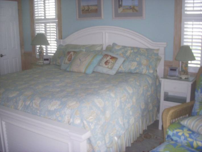 Vacation house for 20 people, with hot tub and pool as well as balcony, with pets in North Carolina