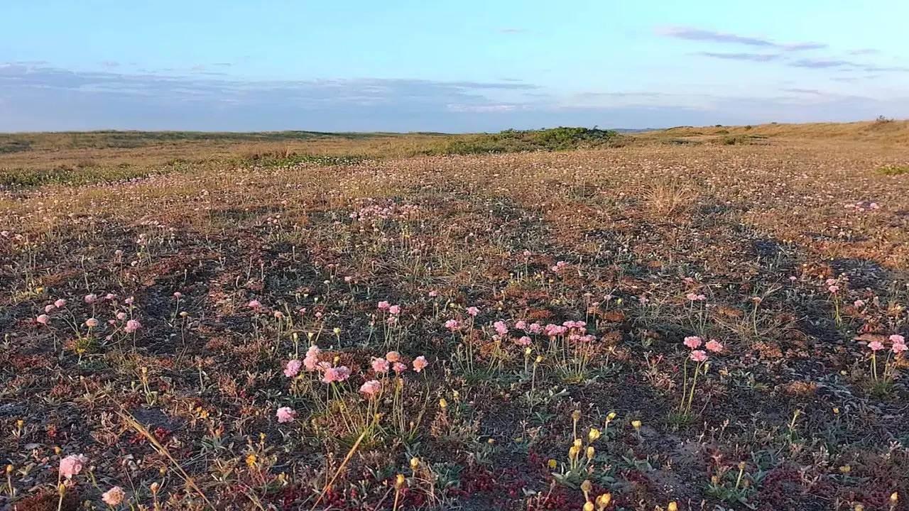 Ferienhaus für 8 Personen (92 m²) in Fjerritslev in Thorup Strand, Jammerbugt