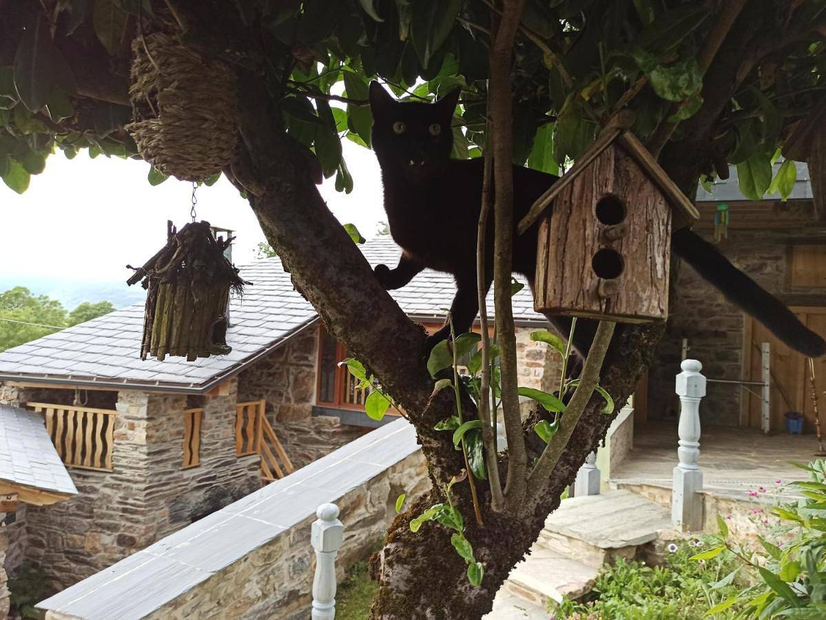 Two-Bedroom Villa in Becerreá, Province de Lugo