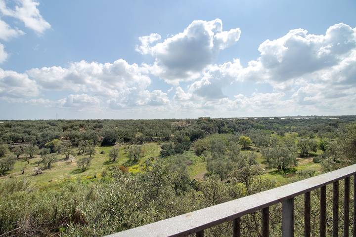 Entire apartment, Apartment 'Cerere' with Shared Terrace, Wi-Fi and Air Conditioning in Bisceglie, Barletta-Andria-Trani
