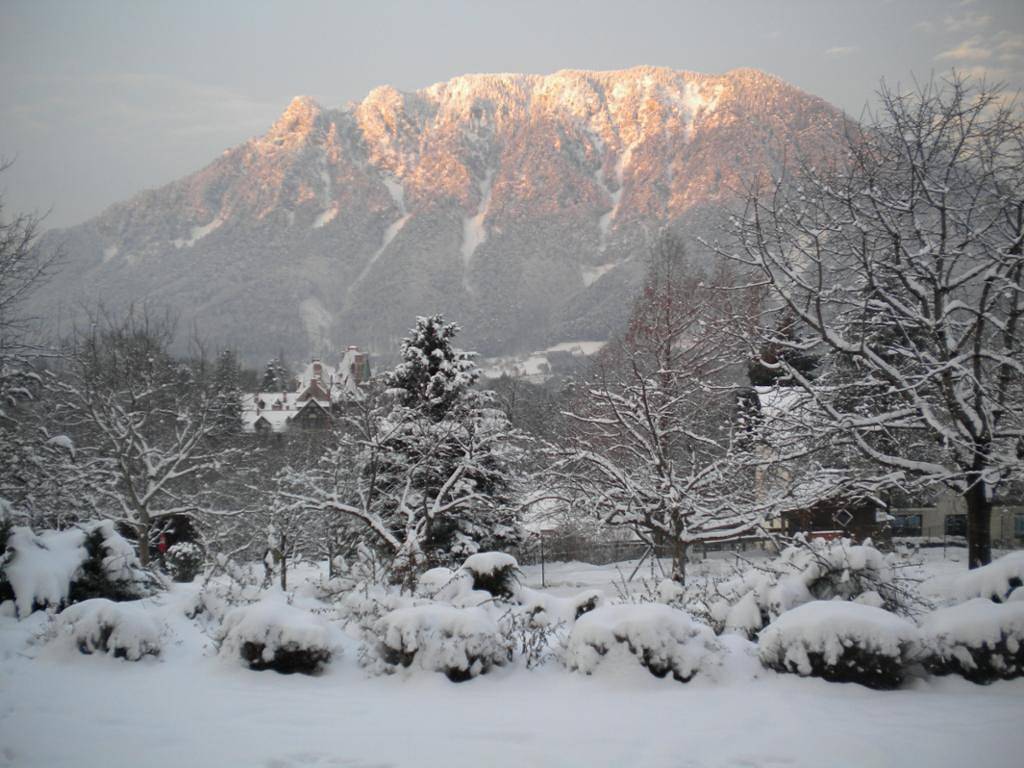 Flackl-Wirt - Comfort-Doppel- oder -Zweibettzimmer, Balkon, Bergblick in Reichenau an der Rax, Wiener Alpen in Niederösterreich