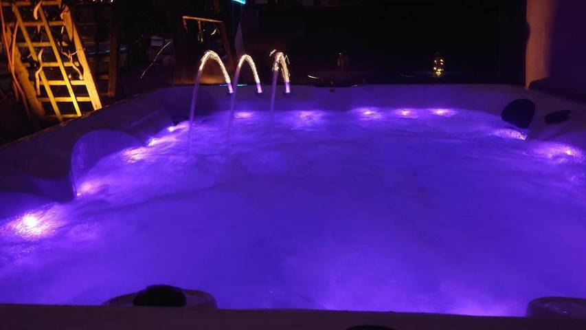 Location de vacances pour 8 personnes, avec piscine et sauna ainsi que terrasse et jacuzzi, animaux acceptés à Brasschaat - 3