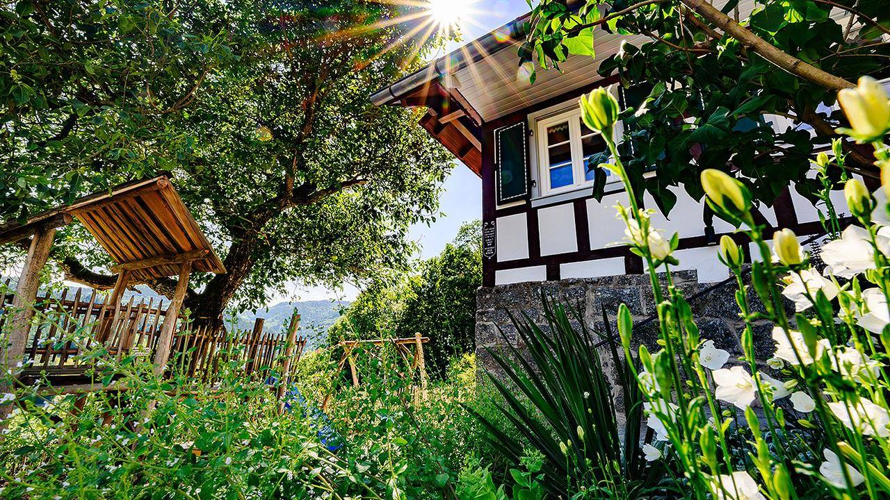 Ferienhaus für 10 Personen (170 m²) in Ottenhöfen im Schwarzwald in Ottenhöfen im Schwarzwald, Mittlerer Schwarzwald