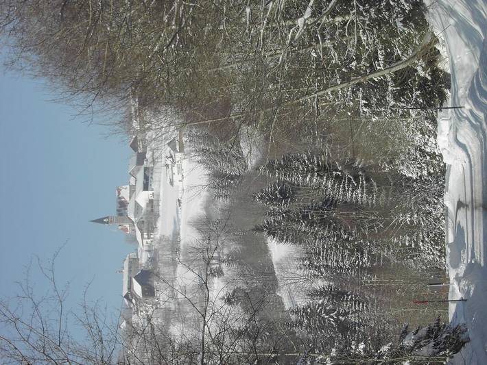 Ferienhaus für 4 Personen, mit Sauna und Garten in Mauth - 4