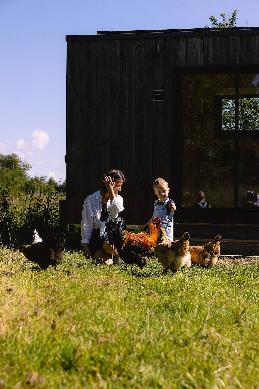 Ganze Wohnung, Tiny House in einem Bauernhof 20 Minuten von Beauval Zoo in Faverolles, Loire-Tal