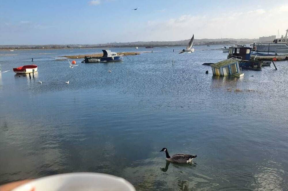 Poole, Holes Bay Harbour Nature Reserve - 'Right' next to the water :-) Sleeps 3 in Poole, Poole Harbour