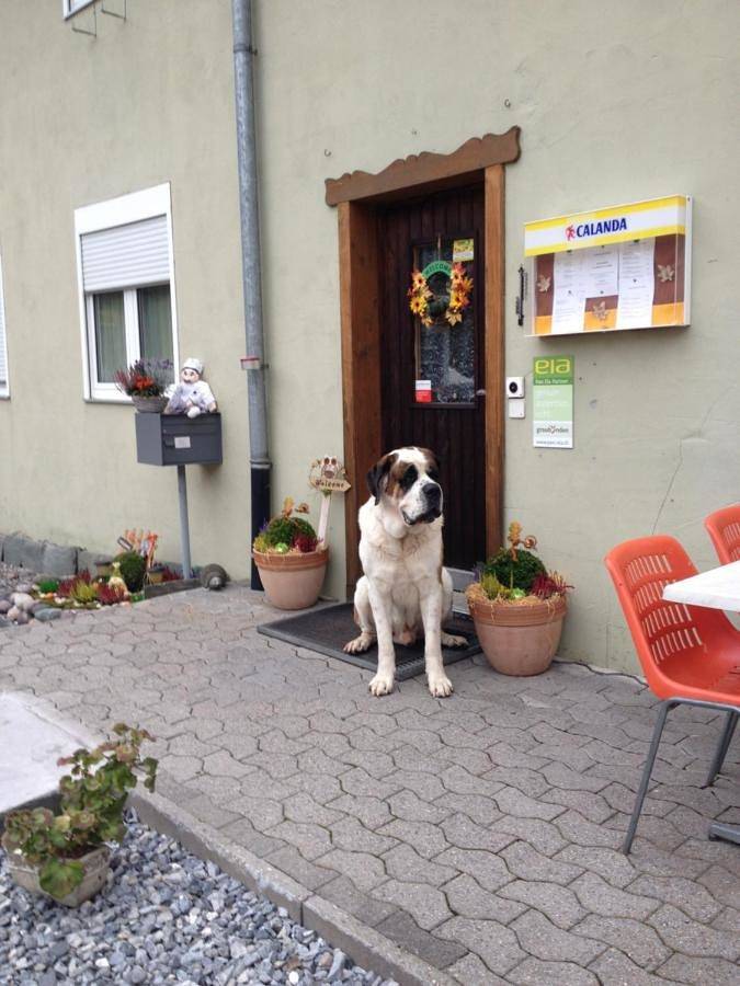 Hotel für 2 Personen, mit Ausblick in Alvaneu - 2