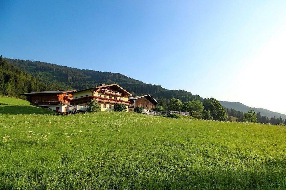 Apartment/2 Schlafräume/Dusche, Wc - Richlegghof in Filzmoos, Tennengau