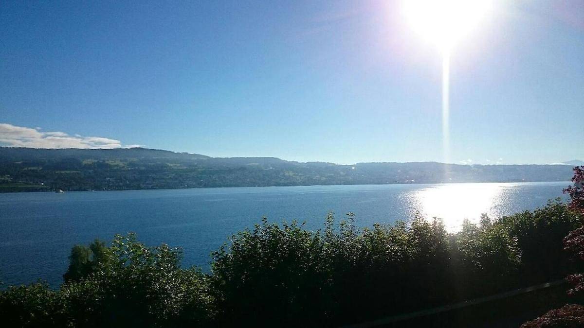 Mansion at the lake, Pool, Sauna and Boat in Käpfnach, Horgen