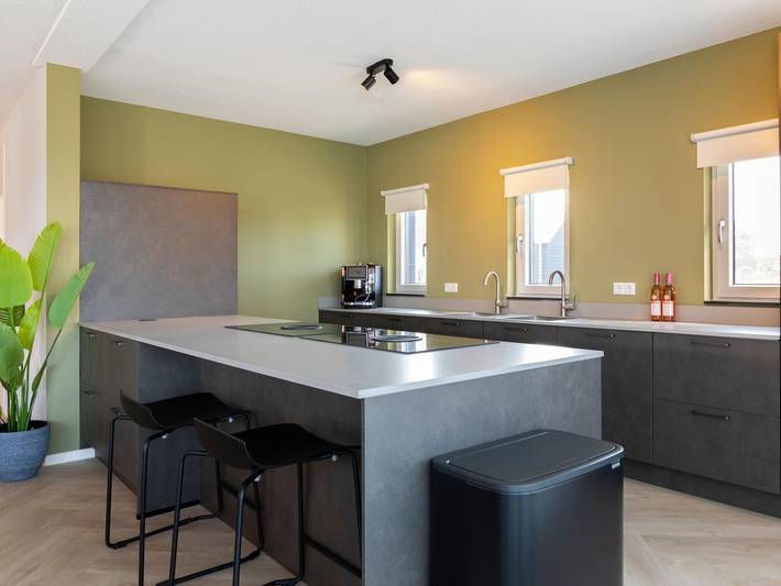Ferienhaus für 16 Personen, mit Pool und Garten sowie Terrasse und Sauna, mit Haustier in Nieuwvliet - 4