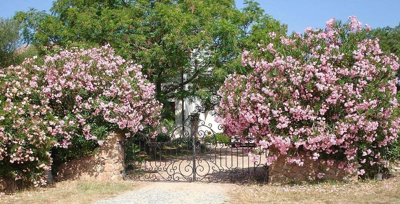 Charmantes Haus mit Garten 5 min vom Meer in Ghisonaccia, Corte und Umgebung