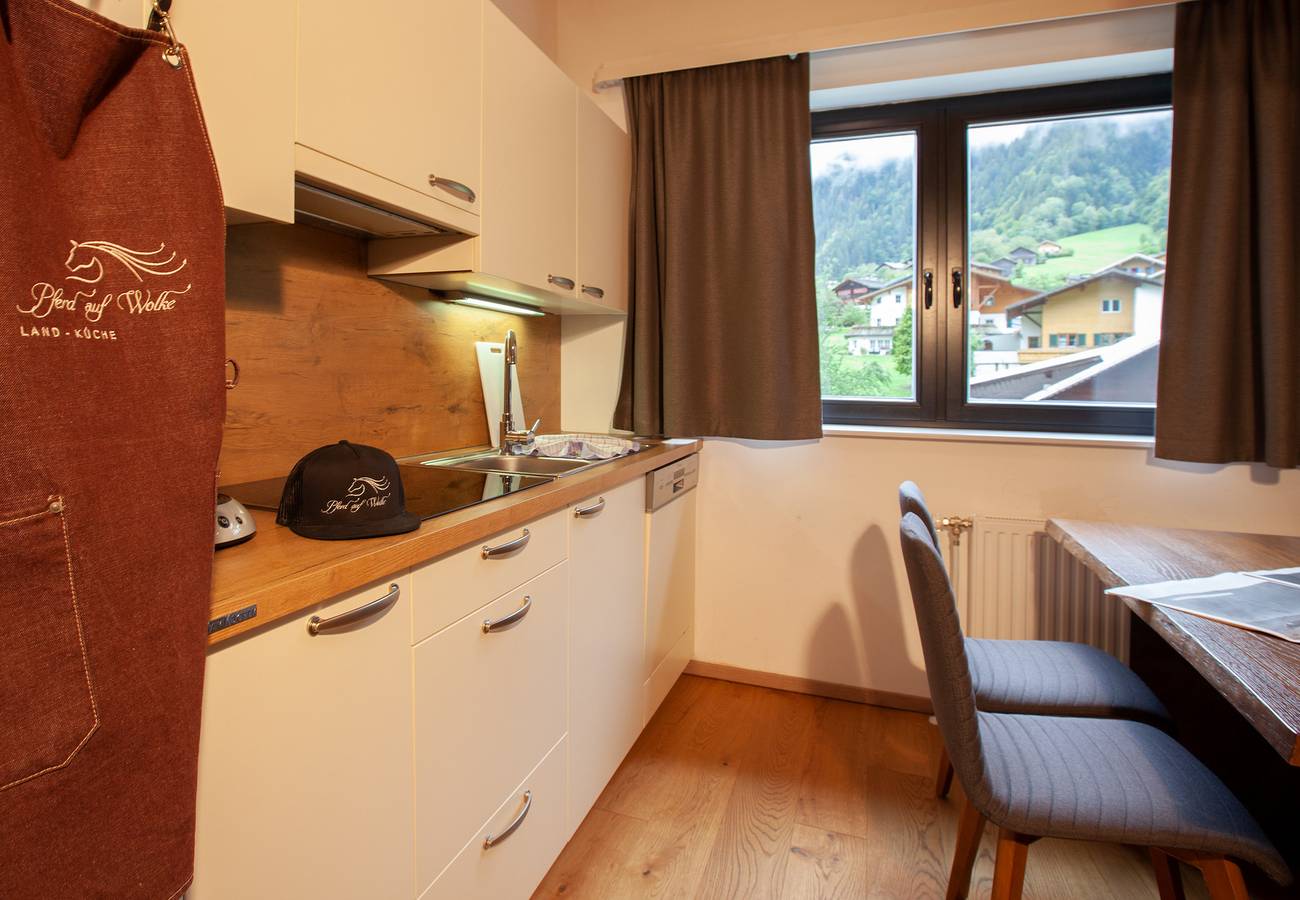 Ganze Wohnung, Ferienwohnung für 6 Personen mit Sauna in Sankt Gallenkirch (Stadt), Sankt Gallenkirch