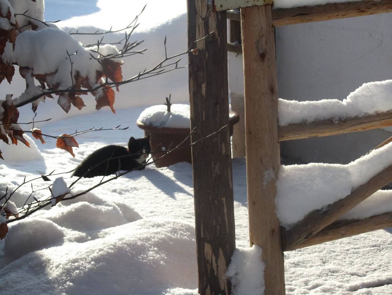 Koglhof  -  Kathrin und Hans Kirchberger - Sonnenaufgang in Fischbachau, Alpenland Tegernsee Schliersee
