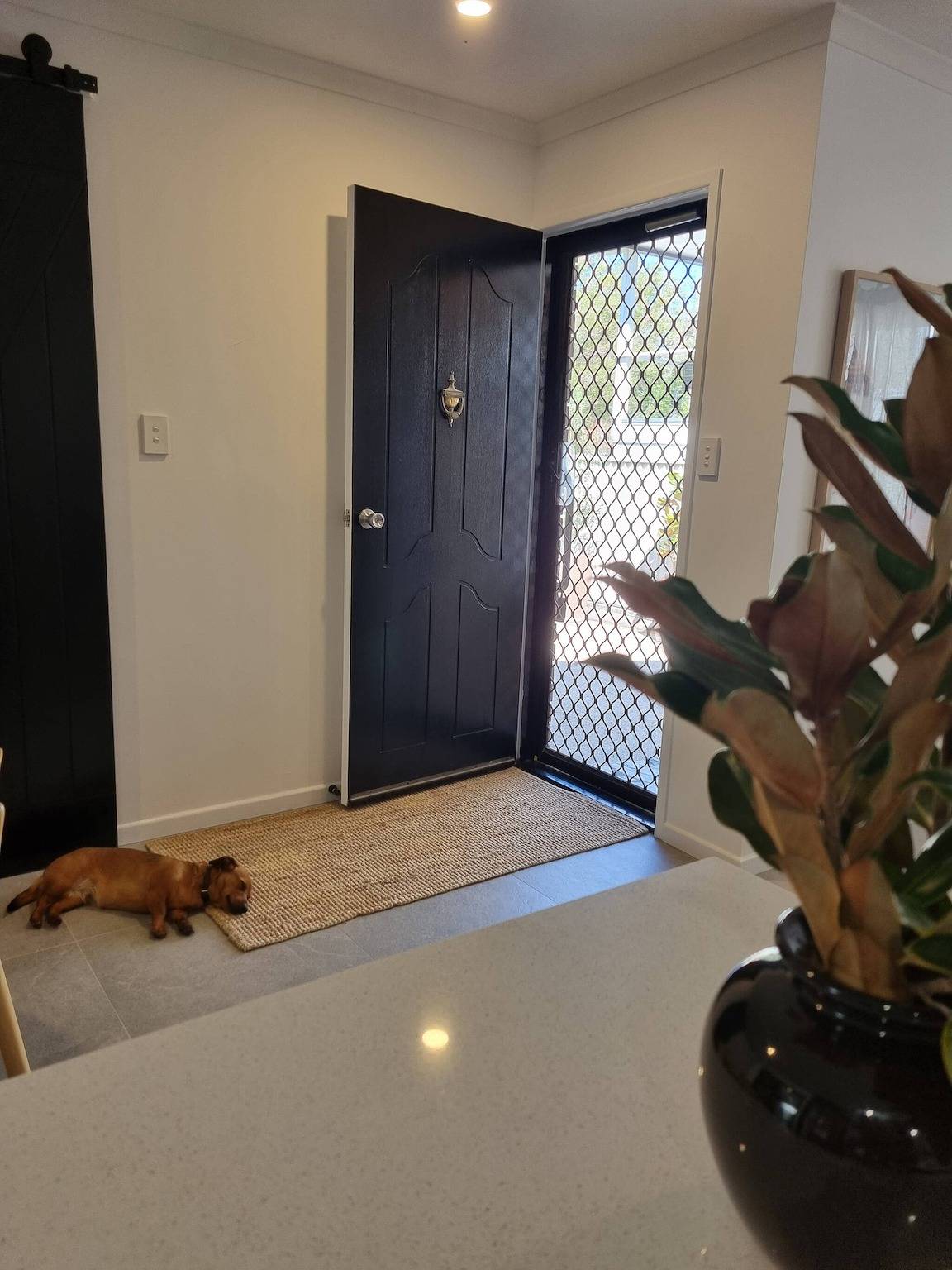 Seaestaatmoffatquietbeachpark, amplio patio cercado in Moffat Beach, Sunshine Coast