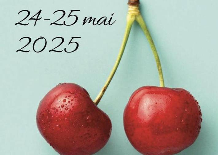 Ferienhaus für 12 Personen, mit Garten und Pool sowie Ausblick, mit Haustier - 1