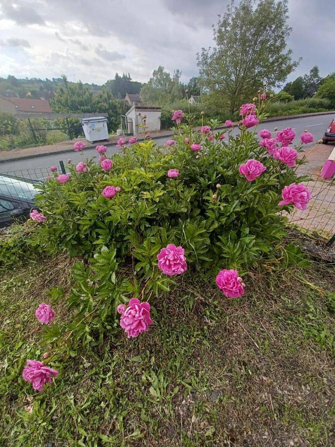 Location de vacances pour 6 personnes, avec vue et jardin, adapté aux familles dans Trézelles - 4