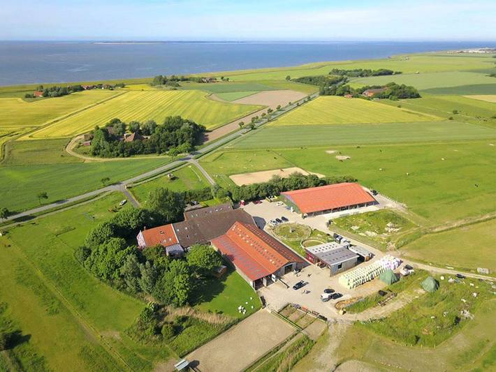 Bauernhaus für 6 Personen, mit Terrasse und Garten, mit Haustier in Neßmersiel