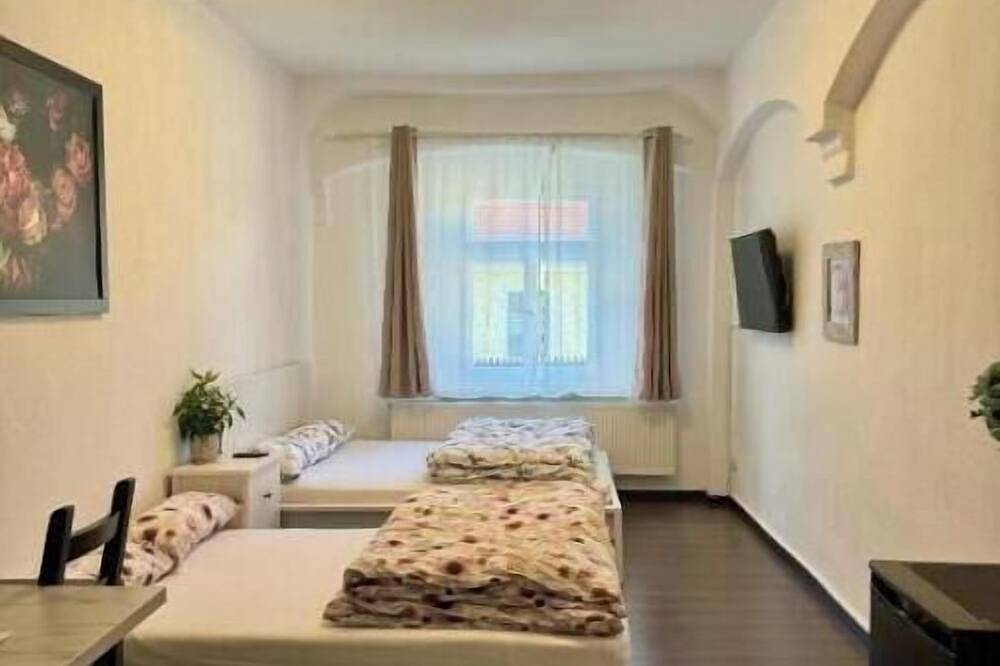 Ganze Wohnung, Apartments Oschatz : Apartment mit 1 Schlafzimmer in Oschatz, Nordsachsen