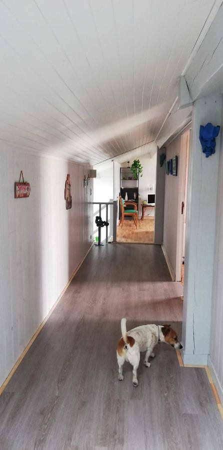 Gîte pour 8 personnes, animaux acceptés dans Contis-Plage - 4