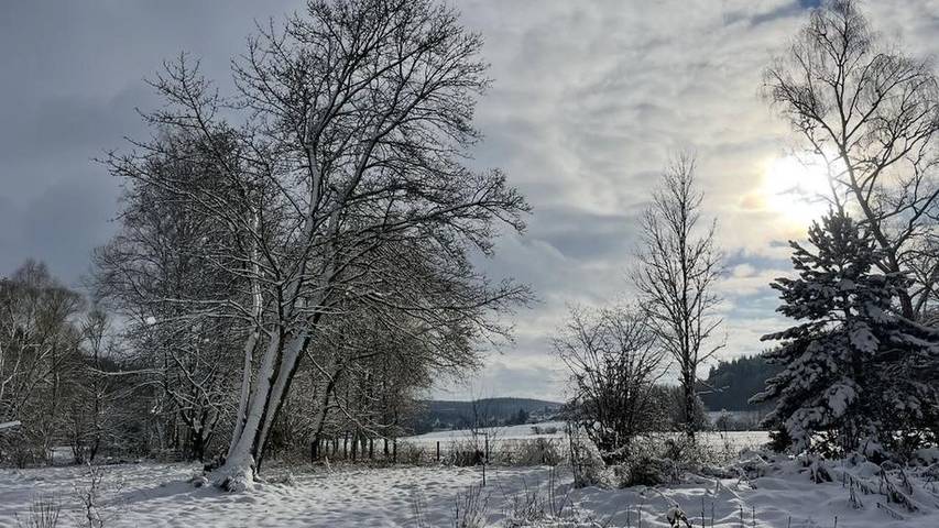 Ferienwohnung für 4 Personen, mit Garten im Nationalpark Eifel - 4