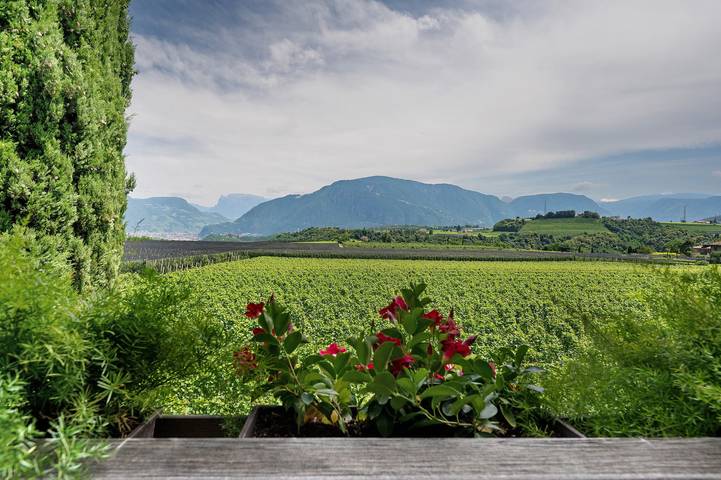 Entire apartment, Apartment 'Pink Lady' with Mountain View, Shared Terrace and Wi-Fi in St. Pauls, Eppan an der Weinstraße