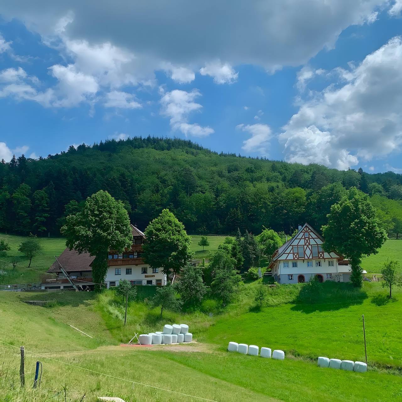 Ganze Wohnung, Apartment 'Moosblick' mit Balkon und Wlan in Oppenau, Mittlerer Schwarzwald