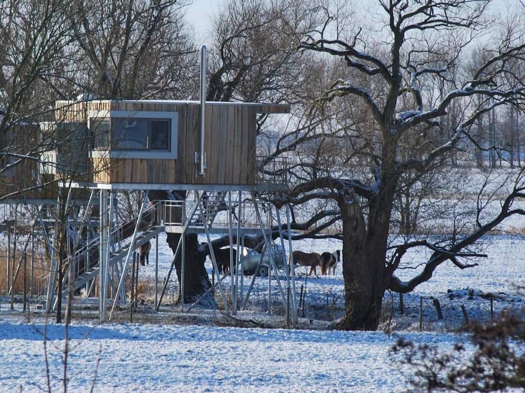 Baumhaus Lotti Comfortable holiday residence in Drochtersen, Cuxland
