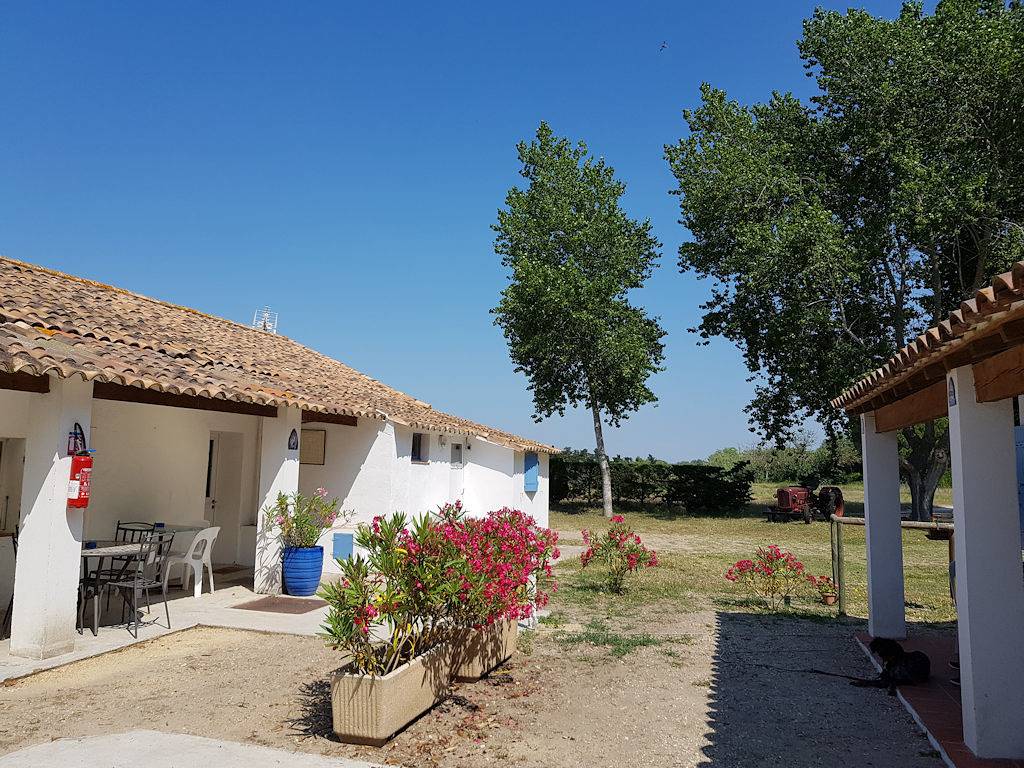Chambre - Le Mas de Mon Père in Saintes-Maries-de-la-Mer, Région d'Arles