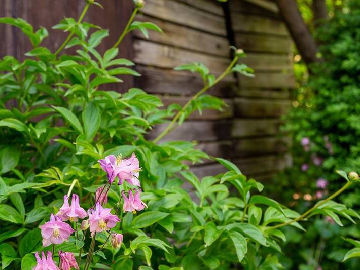 Ferienwohnung für 3 Personen, mit Terrasse und Garten, kinderfreundlich in Güstrow - 2