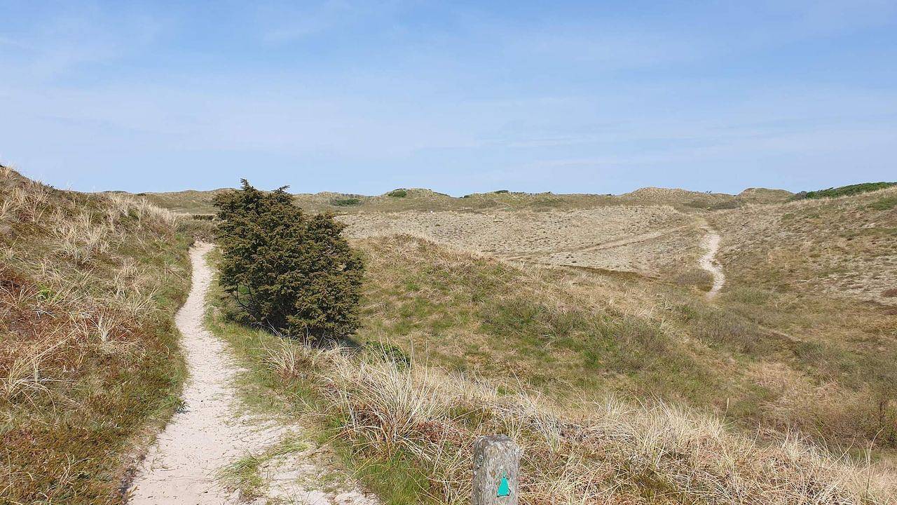 Ferienhaus für 4 Personen (35 m²) in Bindslev in Tversted, Tannisbucht