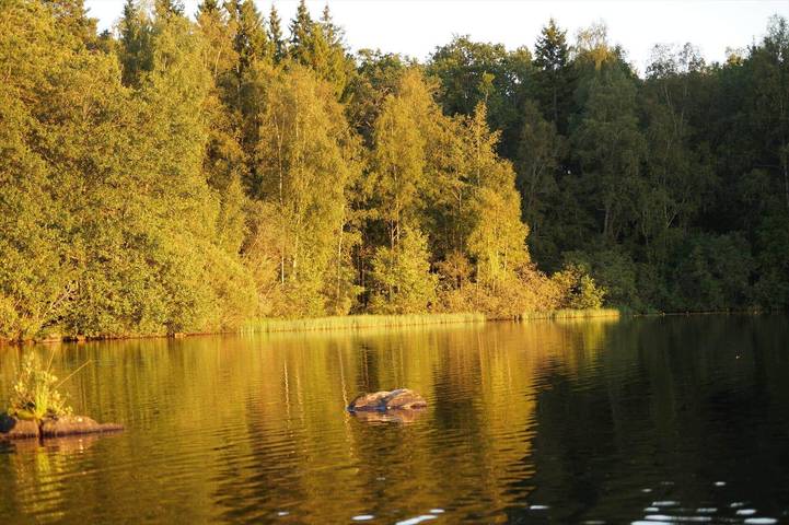 Kal626 Gullaskruv - Villkölsvägen 4 in Nybro