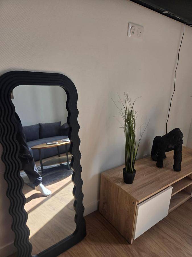 Gîte pour 5 personnes, avec terrasse et vue, animaux acceptés à Entraygues-sur-Truyère - 2