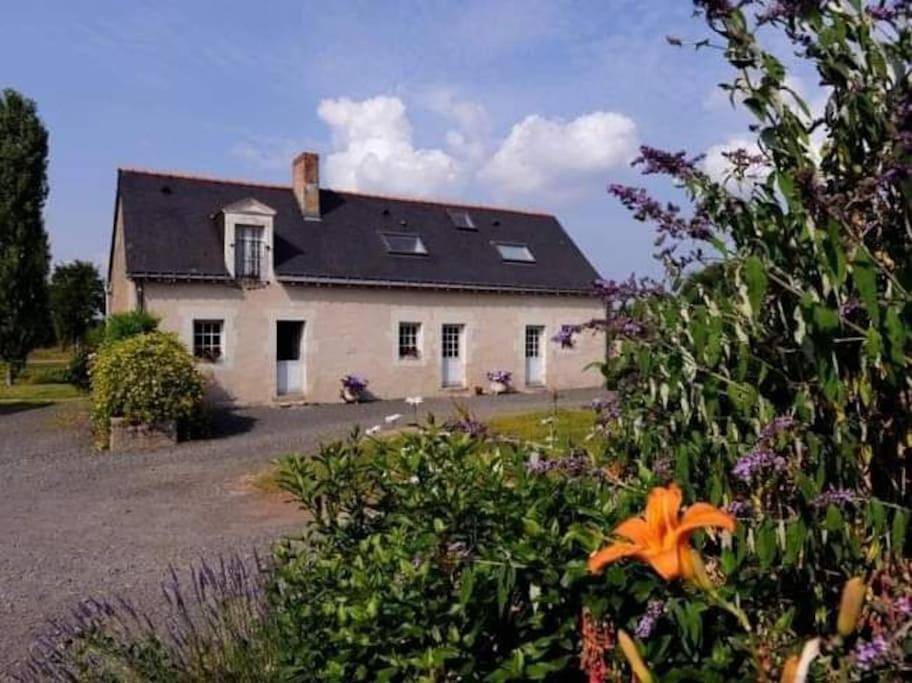 Gîte La Gouletterie classé 3* avec piscine in Thorée-les-Pins, Sarthe