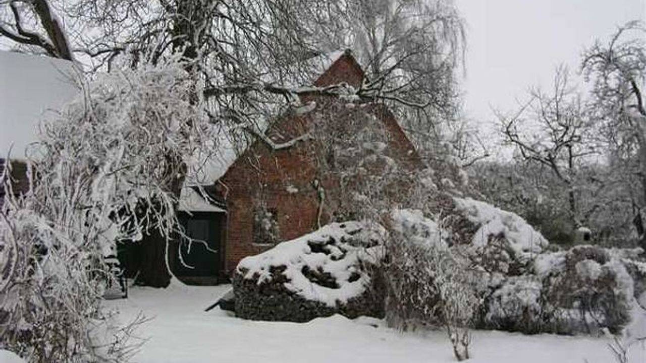 Ganze Ferienwohnung, Ferienwohnung für 6 Personen (105 m²) in Bugewitz in Bugewitz, Vorpommern Greifswald