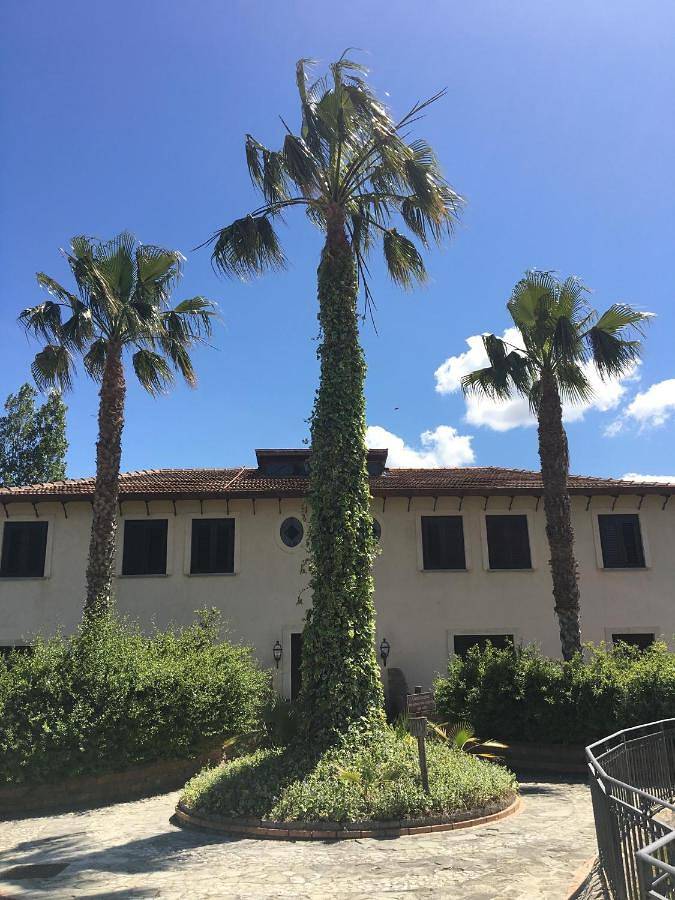 Agriturismo Villa Cefalà in Provincia di Palermo