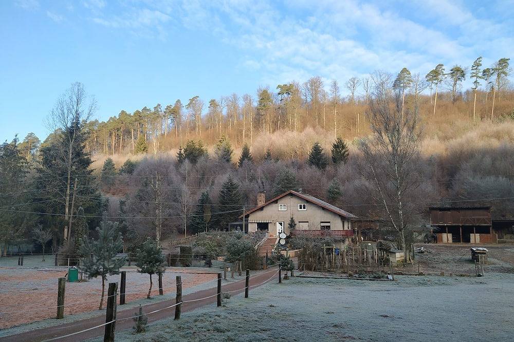 Le petit sabotier en forêt des vosges du nord 2 to 3pers in Soucht, Saargemünd