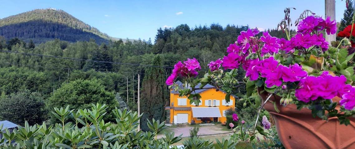 Gîte pour 10 personnes, avec terrasse et jardin, animaux acceptés à Raon-sur-Plaine