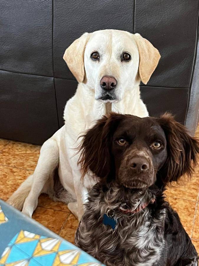 Location de vacances pour 2 personnes, avec jardin ainsi que terrasse et piscine à Saint-Nazaire (Pyrénées-Orientales) - 3