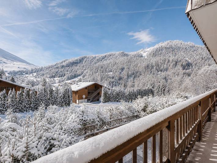 Ganze Wohnung, Helle Wohnung, nahe Pisten, Haustiere erlaubt in La Clusaz, Annecy und Umgebung