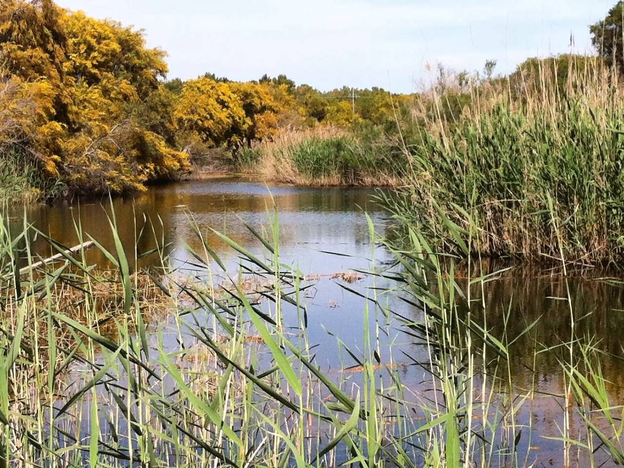 Ganze Wohnung, 4 Zimmer 2 Personen in Scicli, Ragusa Provinz