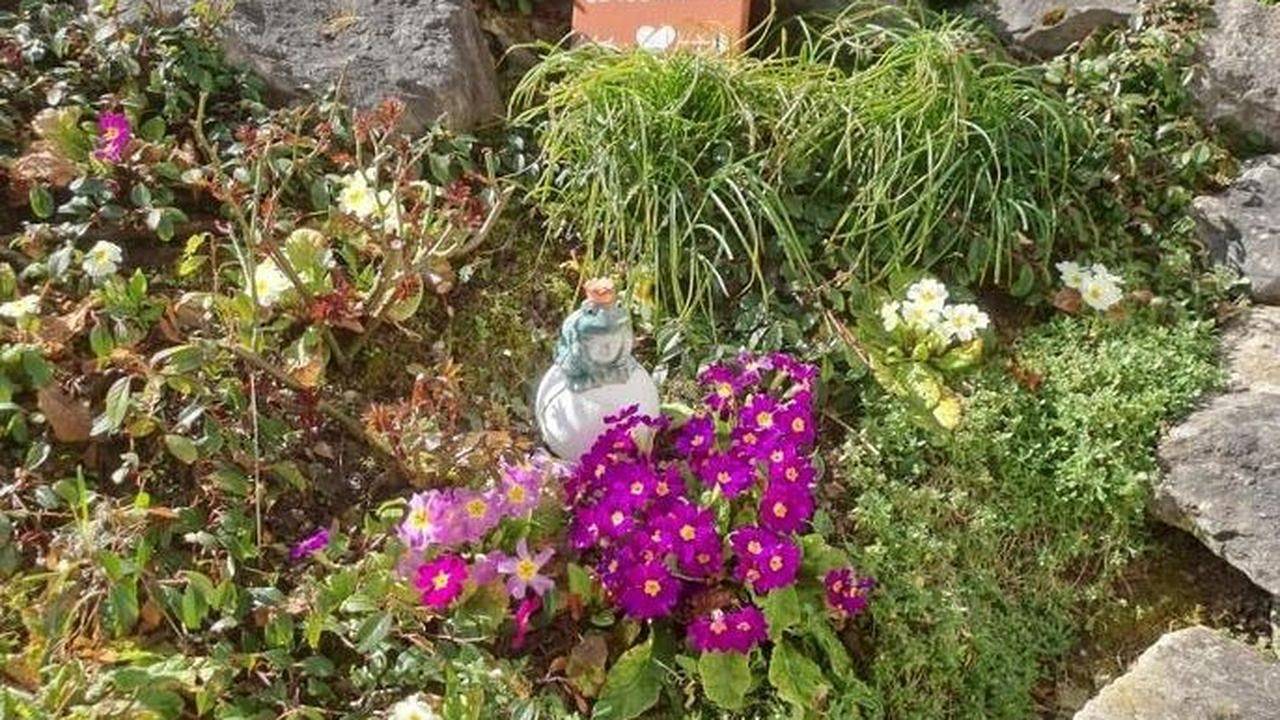 Ganze Ferienwohnung, Ferienwohnung für 2 Personen (43 m²) in Bermatingen in Bermatingen, Region Bodensee-Oberschwaben