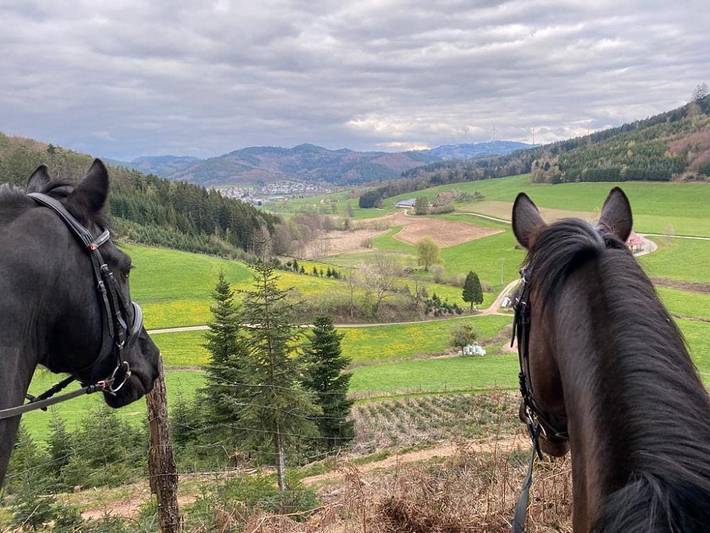 Ferienhaus für 3 Personen, mit Balkon und Balkon/Terrasse sowie Terrasse und Garten in Mittlerer Schwarzwald