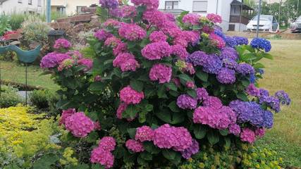 Ferienwohnung für 4 Personen in Saarschleife, Mettlach, Bild 2