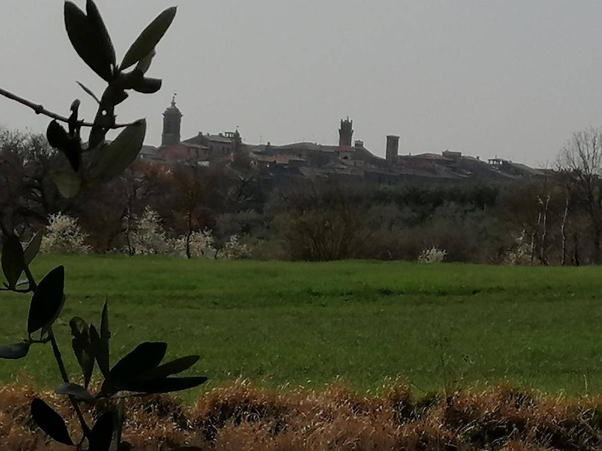 Ganze Wohnung, Two-Bedroom Apartment in Torrita di Siena, Chianti